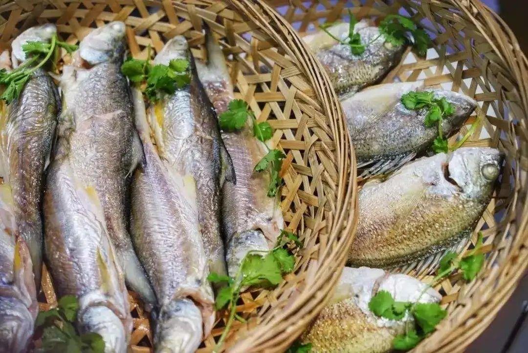 潮汕大菜学名_大潮汕 美食_潮汕大餐